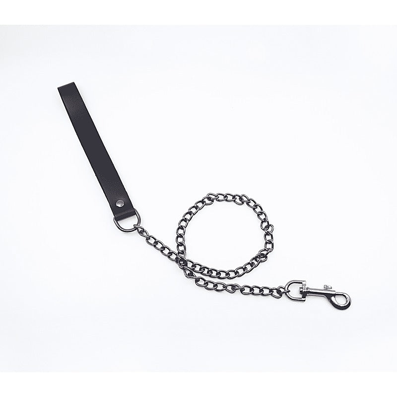 BDSM Chain Lead With Coloured Hardware by Love In Leather - Collars and Leads