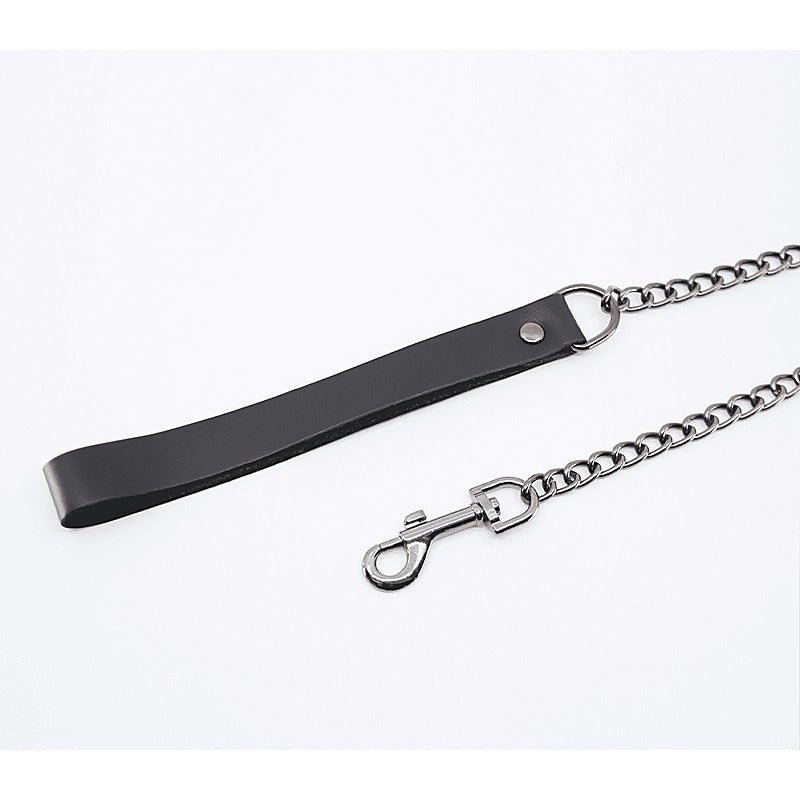 BDSM Chain Lead With Coloured Hardware by Love In Leather - Collars and Leads
