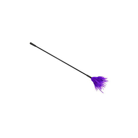 Love In Leather BDSM Crop With Feather Tickler - Whips And Crops