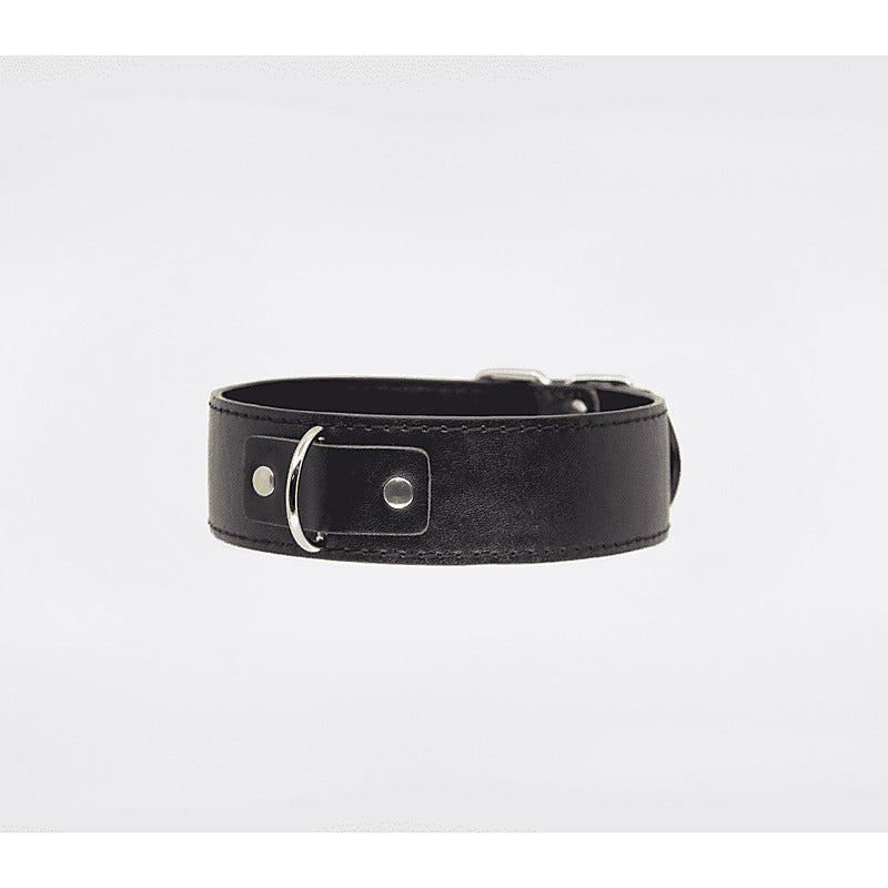 BDSM Play Unlined PU Collar and Lead by Berlin Baby - Collars and Leads