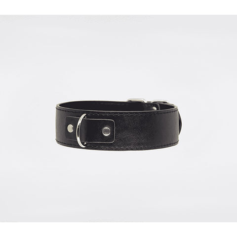 BDSM Play Unlined PU Collar and Lead by Berlin Baby - Collars and Leads