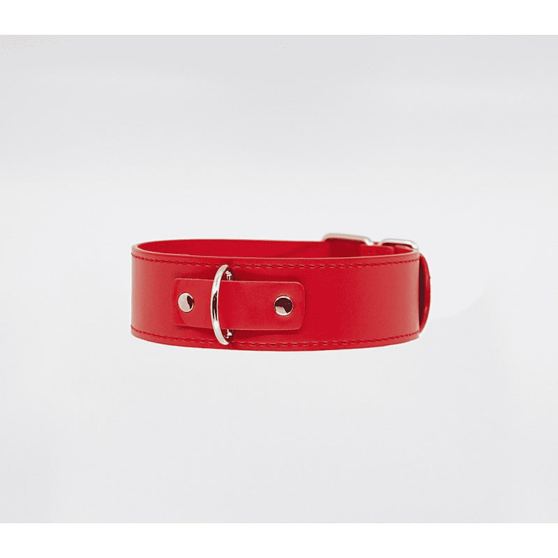 BDSM Play Unlined PU Collar and Lead by Berlin Baby - Collars and Leads