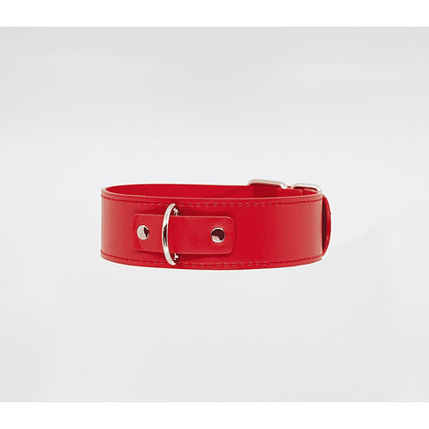 BDSM Play Unlined PU Collar and Lead by Berlin Baby - Collars and Leads