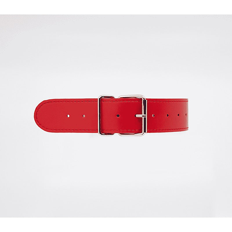 BDSM Play Unlined PU Collar and Lead by Berlin Baby - Collars and Leads