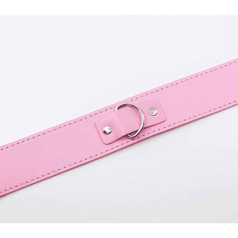 BDSM Play Unlined PU Collar and Lead by Berlin Baby - Collars and Leads
