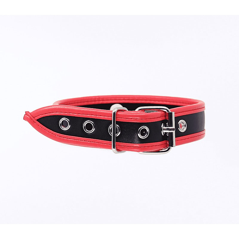 Thin Padded Faux Leather Bondage Collar by Berlin Baby - Collars and Leads