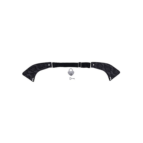 Sportsheets Sex and Mischief Heartbound Lace Day Collar - Collars and Leads