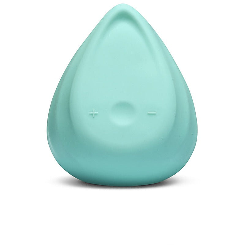 Evii Dual Motors 8 Functions Clitoral Vibrator by Biird - Clit Ticklers and Pulsators