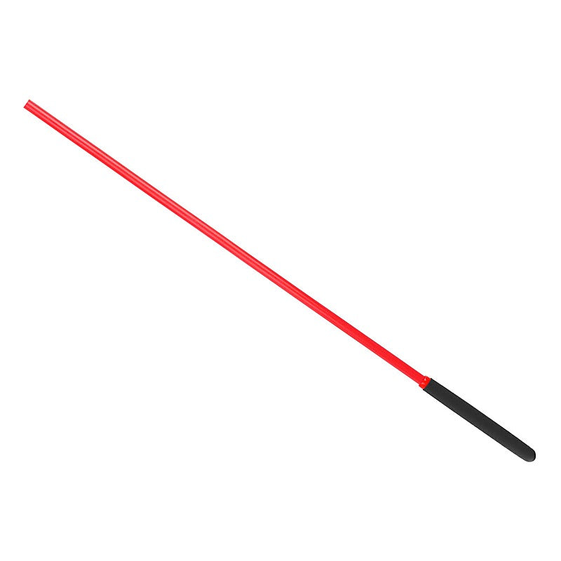 BDStyle Frosted Handle Fiber BDSM Impact Cane for Sensual Play - Whips And Crops