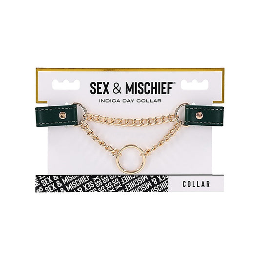 Sportsheets Indica Day Faux Leather Bondage Collar - Collars and Leads