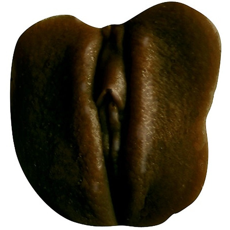 Clone-A-Pussy Edible Milk Chocolate by Empire Labs - Moulding Kits
