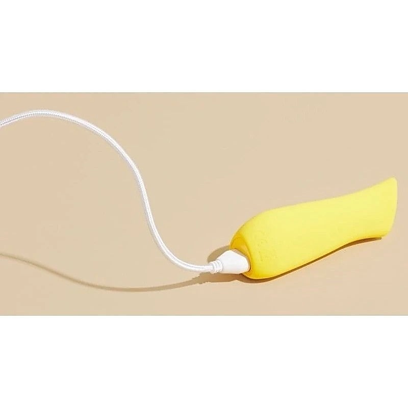Kip by Dame Premium Silicone Personal Massager - Butt Plugs