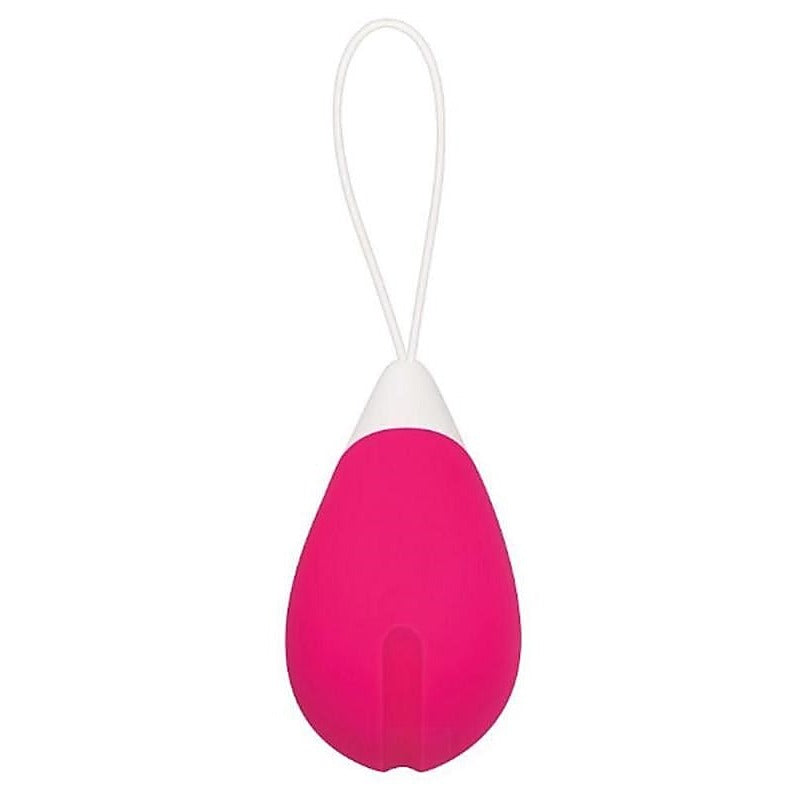 Professional Remote Control Egg by Evolved - Remote Control Vibrators