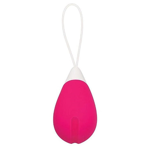 Professional Remote Control Egg by Evolved - Remote Control Vibrators