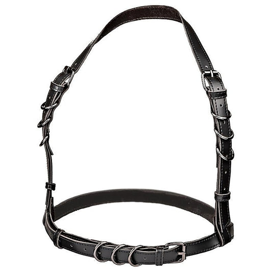 Euphoria Collection Premium Halter Buckle Harness
