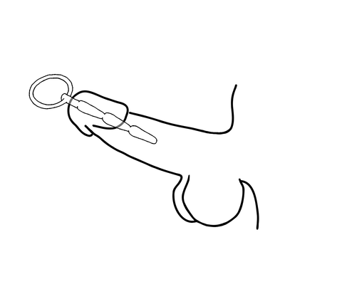 Love In Leather Solid Ridged Penis Plug With Ring - Urethral Sounds