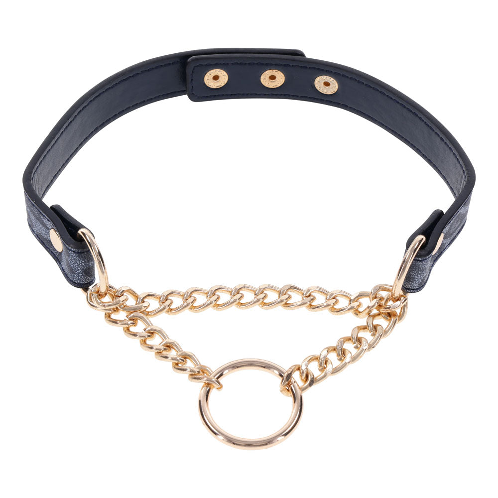 Sportsheets Sex & Mischief Cougar Day Bondage Collar Navy Blue / Gold Collars and Leads