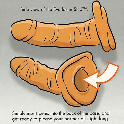 Professional Everlaster Stud by Sportsheets - Strap On Sextoys