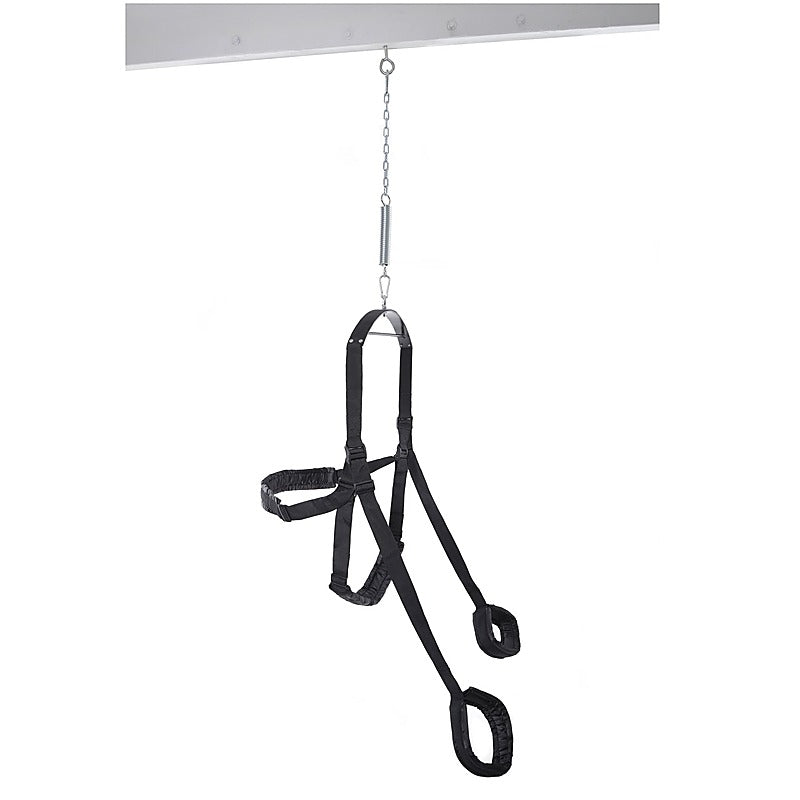 Fetish Fantasy Fully Adjustable Fantasy Sex Swing - Love Eggs and Kegel Exercisers