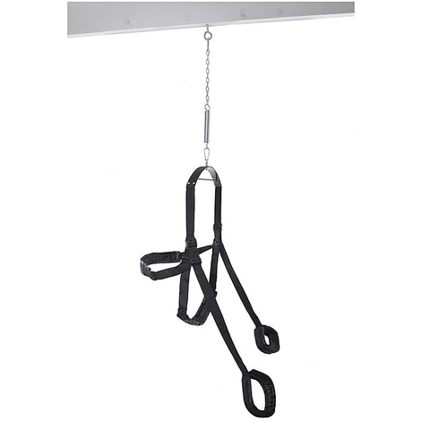 Fetish Fantasy Fully Adjustable Fantasy Sex Swing - Love Eggs and Kegel Exercisers