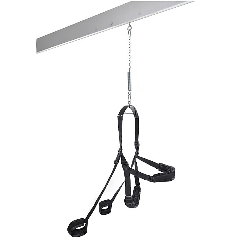 Fetish Fantasy Fully Adjustable Fantasy Sex Swing - Love Eggs and Kegel Exercisers