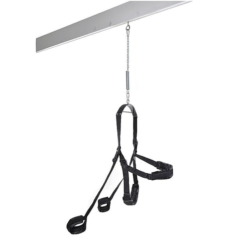 Fetish Fantasy Fully Adjustable Fantasy Sex Swing - Love Eggs and Kegel Exercisers