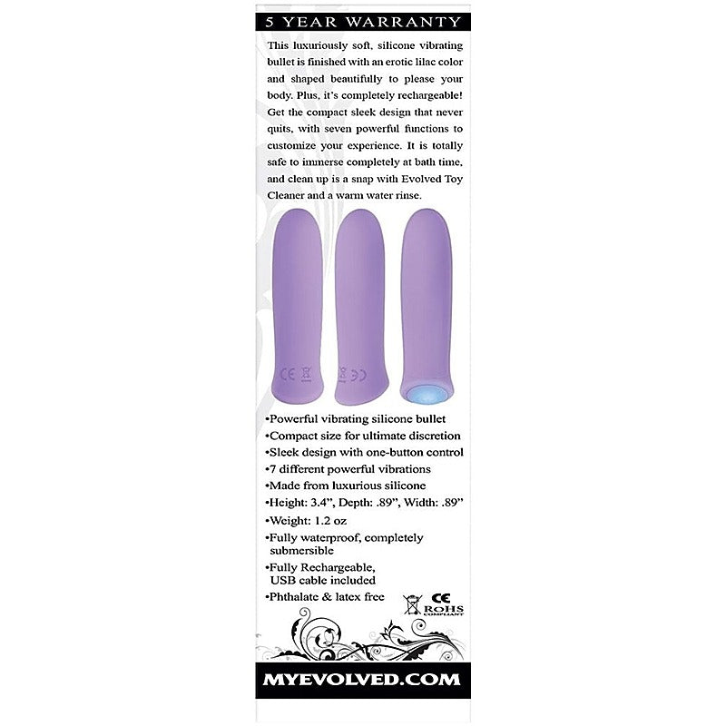 Purple Haze Rechargeable Bullet by Evolved - Bullet Vibrators