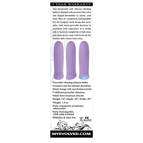 Purple Haze Rechargeable Bullet by Evolved - Bullet Vibrators