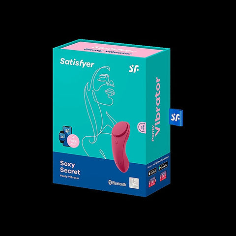 Sexy Secret App Connect Remote Control Panty Vibrator - Remote Control Vibrators