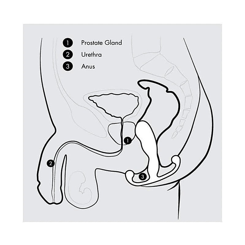 Professional-Grade Progasm Classic by Aneros - Prostate Toys