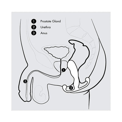 Professional-Grade Progasm Classic by Aneros - Prostate Toys