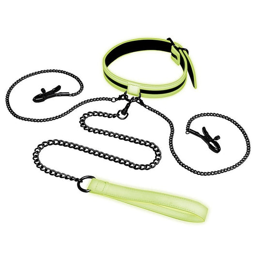 WhipSmart Glow In Dark Collar, Clips + Leash - Collars and Leads