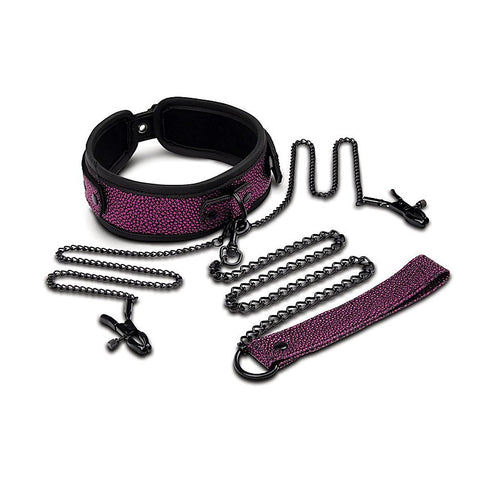 Dragons Lair Collar Leash & Nipple Clips by Xgen Products - Breast and Nipple Toys
