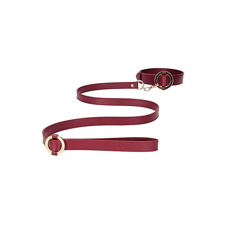 Premium Halo Collar With Leash by Shots Toys - Collars and Leads