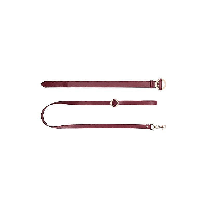 Premium Halo Collar With Leash by Shots Toys - Collars and Leads