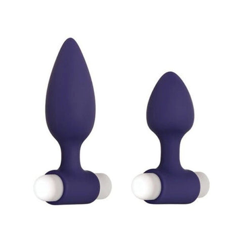 Evolved Dynamic Duo - Anal Vibrators