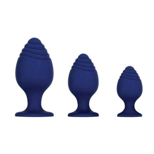 Evolved GET YOUR GROOVE ON Butt Plug Set - Butt Plugs