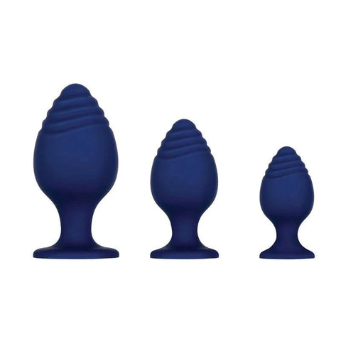 Evolved GET YOUR GROOVE ON Butt Plug Set - Butt Plugs