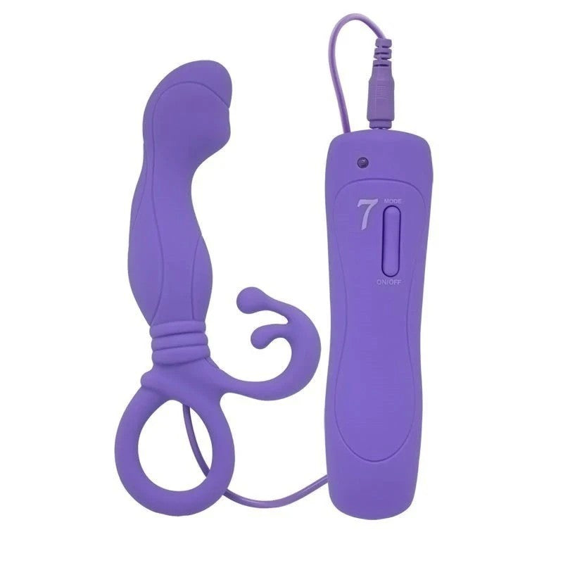Aphrodisia Little Turtle Prostate Stimulator Vibrating Anal Vibrators