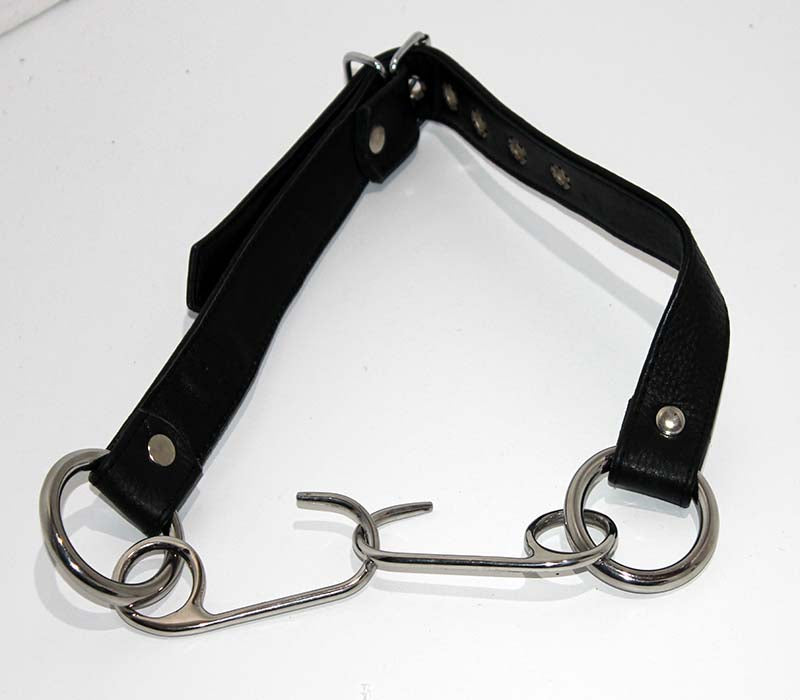 Asylum Hook Mouth Spreader Gag Bondage Gags and Bits