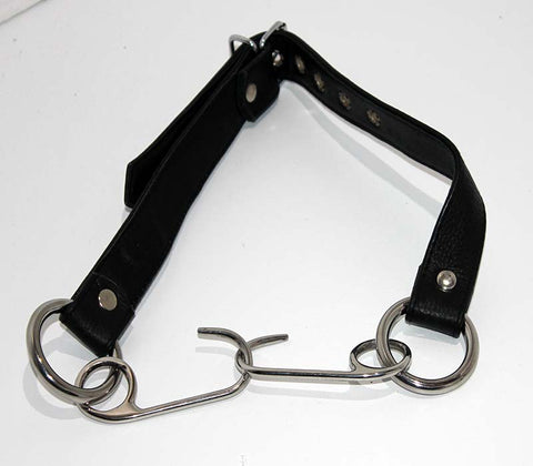 Asylum Hook Mouth Spreader Gag - Bondage Gags and Bits