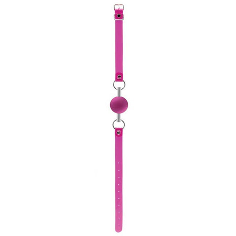 Bad Romance Pink Translucent Mouth Gag with Metal Tube - Bondage Gags and Bits