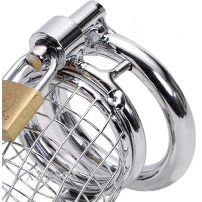 Caged Dragon Male Chastity Device Silver Male Chastity