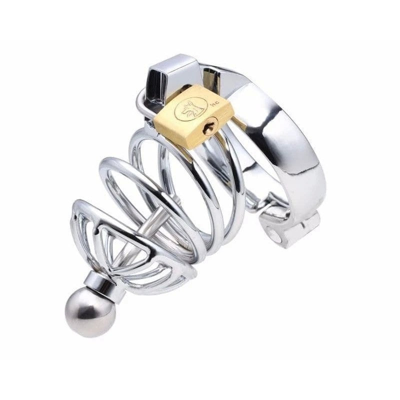 Instituted Cock Cage & Penis Plug Male Chastity