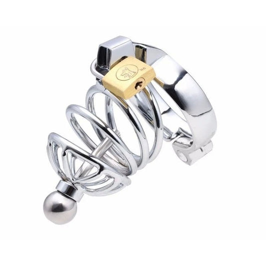 Instituted Cock Cage & Penis Plug - Male Chastity