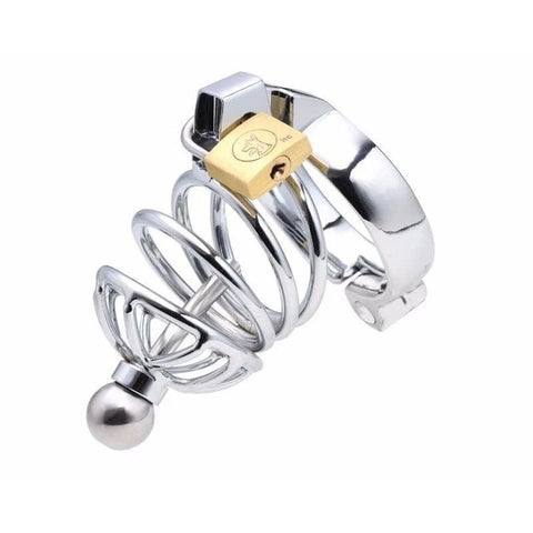 Instituted Cock Cage & Penis Plug - Male Chastity