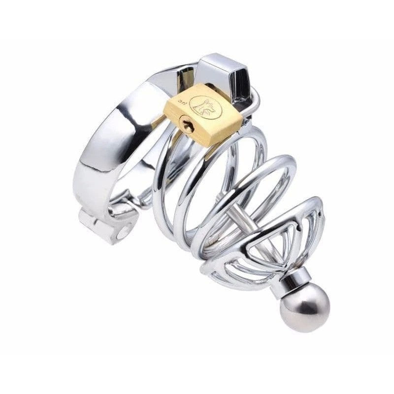 Instituted Cock Cage & Penis Plug Male Chastity