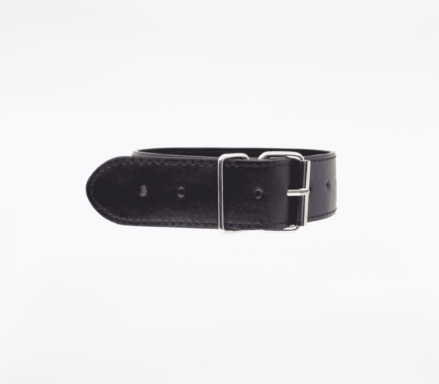 Berlin Baby BDSM Play Unlined PU Collar and Lead Collars and Leads