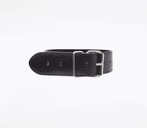 Berlin Baby BDSM Play Unlined PU Collar and Lead - Collars and Leads