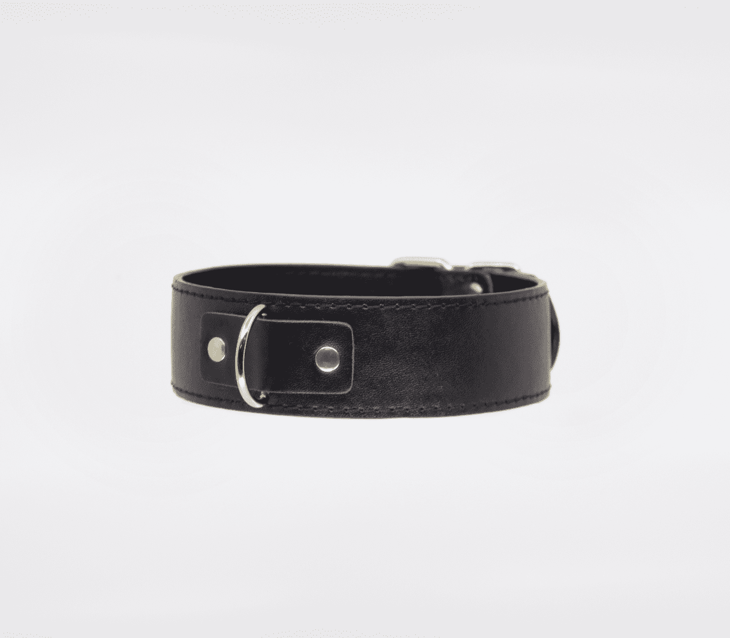 Berlin Baby BDSM Play Unlined PU Collar and Lead Collars and Leads